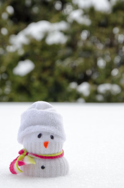 自制玩具雪人图片下载