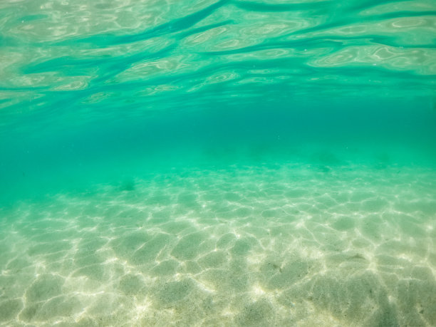 水下海洋风景图片下载