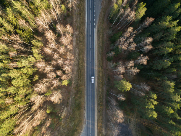 柏油路与汽车在秋天穿过一片绿色的森林。景观鸟瞰图。俯视图图片下载