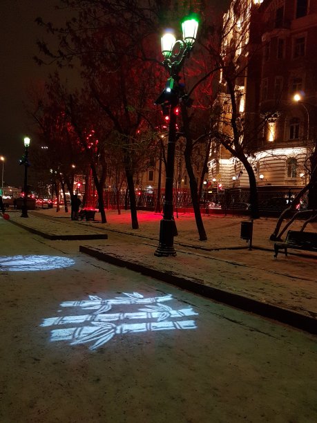 街上的圣诞树图片下载