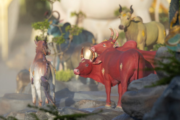 Himmapan生物动物图片下载