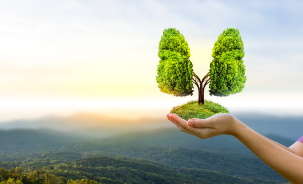 肺绿色树形图像，医学概念，解剖，三维显示和动物为元素图片下载