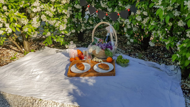 一个为情侣准备水果和香槟的舒适角落图片下载