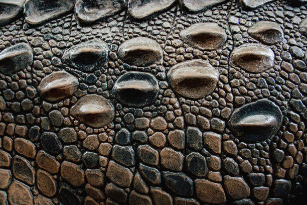 鳄鱼皮纹理图案纹理棕色光泽图片下载