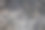 近灰色的狗皮肤动物图案和背景图片下载