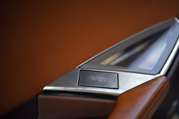 未来的车门打开按钮图片下载