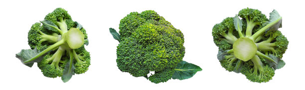 西兰花卷心菜集合图片下载