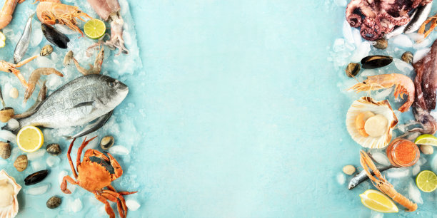 鱼和海鲜品种的全景，一个平坦的lay top shot，一个框架与复制空间在一个蓝色的背景。新鲜的鱼、虾、对虾、蟹、鱿鱼、贻贝、蛤蜊等，放在冰上，做成设计模板图片下载