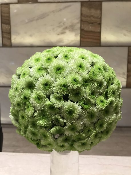 漂亮的鲜花花束图片下载