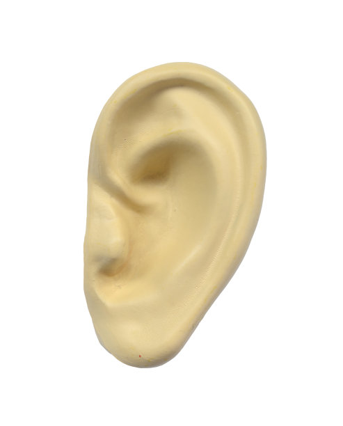 塑料人耳图片下载