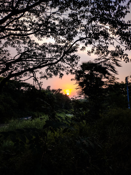 日落农村景象。图片下载