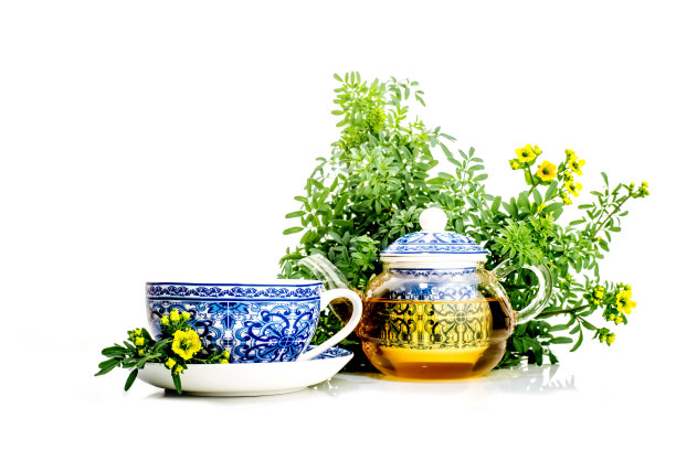 输液街(Ruta gravolens)。图片下载