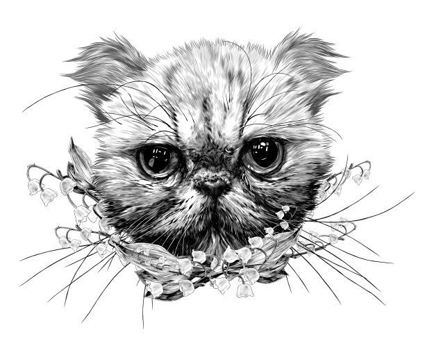 口吻的一个外地猫与一个长胡子包围钟花图片下载