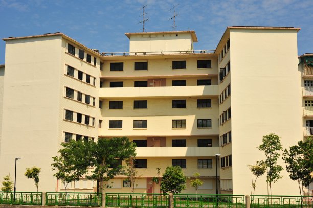 新加坡老达科塔住宅发展图片下载