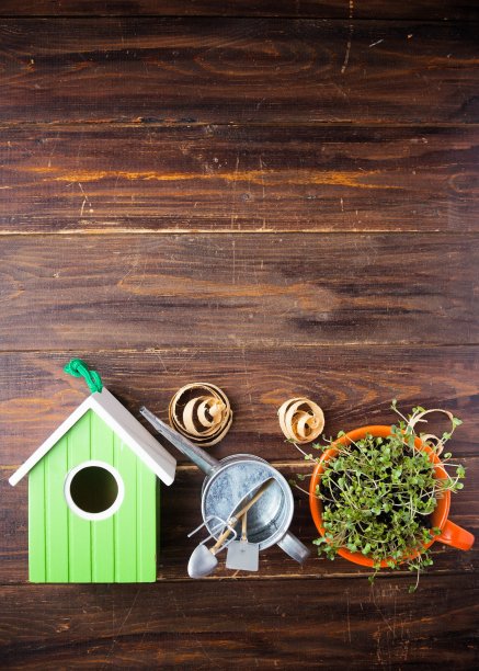 绿色鸟笼、杯中迷你绿芽、喷壶、竹制可生物降解的刀叉，采用天然生态可循环再用材料制作而成图片下载