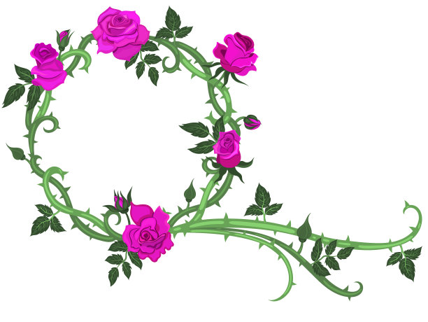 一帧孤立在白色背景上的荆棘和玫瑰。矢量图形。图片下载