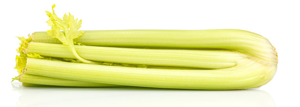 一束大芹菜茎，有阴影和反光，表面光滑，孤立在白色背景上图片下载
