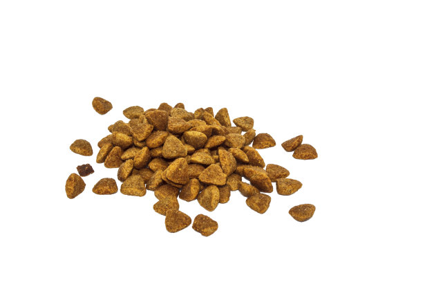棕色干猫粮图片下载