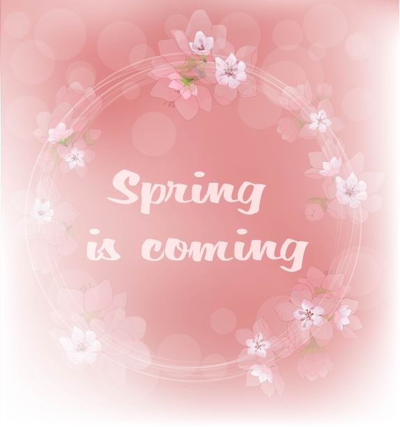 春天的照片在柔和的粉红色调与樱花。图片下载