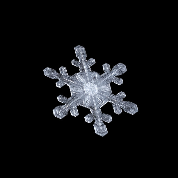 雪花落在黑色的背景上图片下载