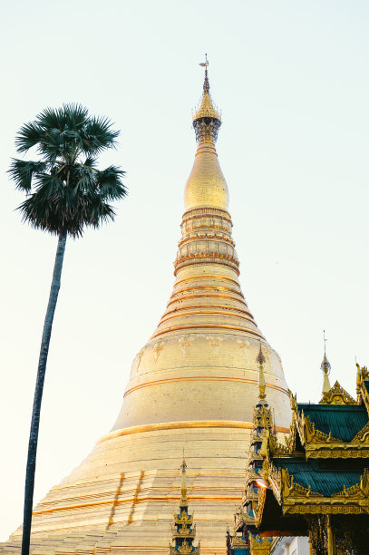 缅甸仰光著名的大金塔图片下载