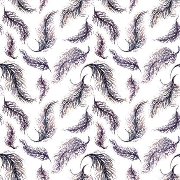 无缝模式的水彩羽毛在白色的背景图片下载