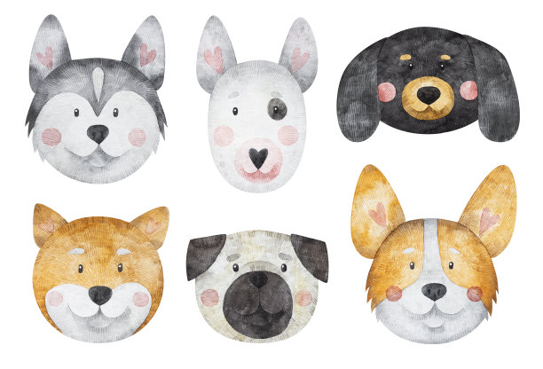 狗的脸图片下载