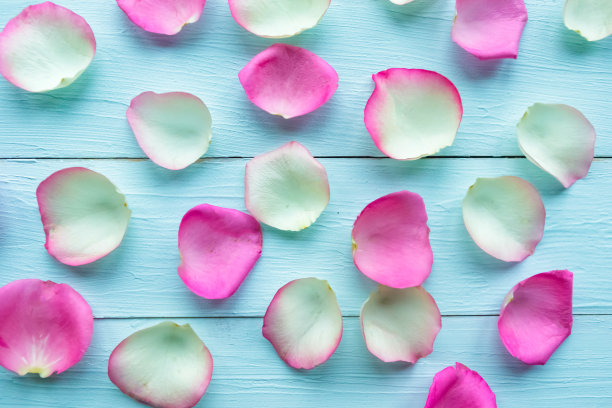 木质背景上的白色和粉色玫瑰花瓣。情人节的抽象背景图片下载