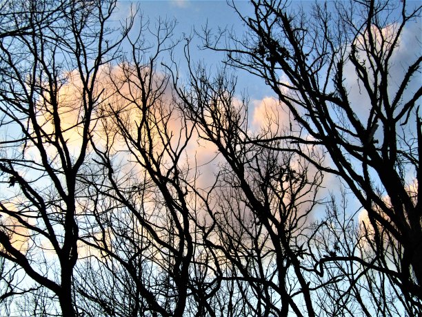 1月。日本。流山市的日落。图片下载