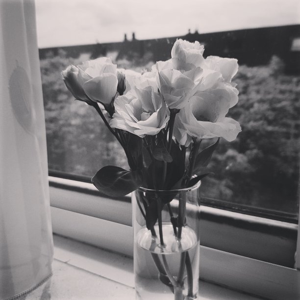 鲜花和忧郁图片下载