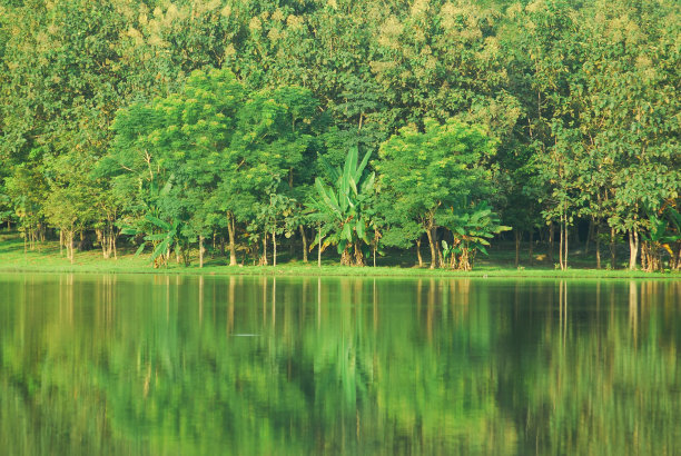 泰国国家公园的城市景观，绿色的森林和蓝天倒影在河水上图片下载