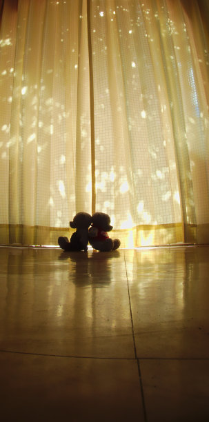 逆光拍摄的熊的背影照片图片下载