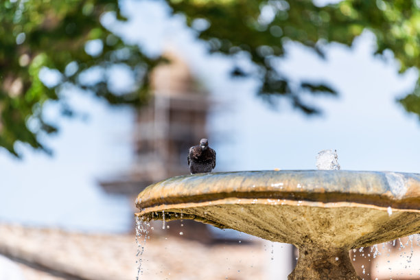 意大利翁布里亚的历史小镇阿西西在阳光明媚的日子里，街道上有喷泉和鸽子鸟，背景是天空公园图片下载