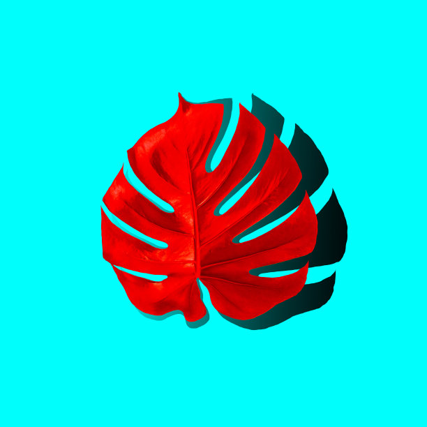 奇异的怪物叶红色霓虹蓝色背景创意艺术图片下载