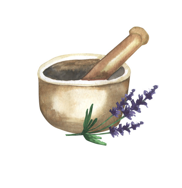 插图水彩瓶精油与花。用水彩画的淡紫色罐子。精油用于芳香疗法、按摩、身体保健和健康。图片下载