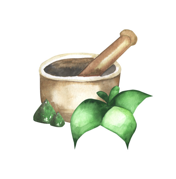 插图水彩瓶精油与花。水彩画薄荷罐。精油用于芳香疗法、按摩、身体保健和健康。图片下载