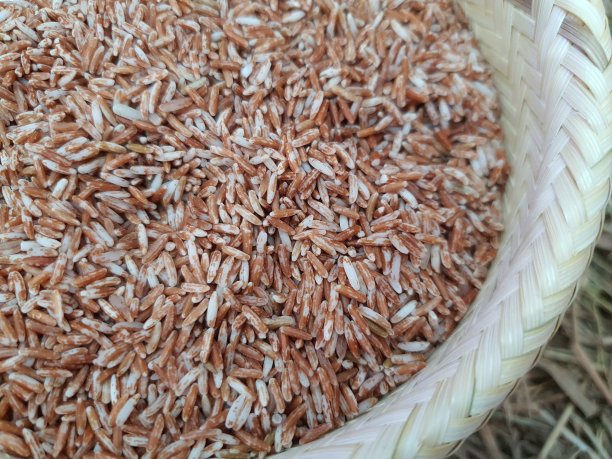 健康的生活方式理念图片下载