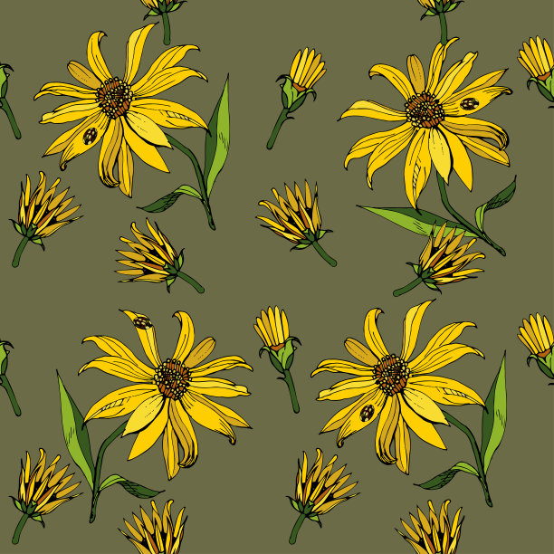 无缝的矢量模式。菊芋花，特写。轮廓矢量插图的一朵向日葵属的黄色花。一只带着黄色斑点的瓢虫坐在花瓣上。无缝的矢量模式。图片下载