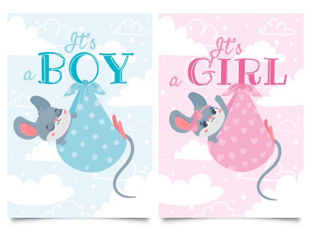 这是男孩和女孩卡片。宝宝淋浴贴附可爱的老鼠，卡通老鼠儿童矢量插画集图片下载