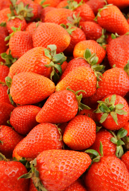 草莓的背景图片下载