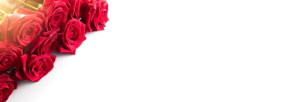 情人节的一束红玫瑰。图片下载