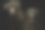 两个可爱的杂种狗的肖像图片下载