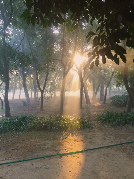 新德里洛迪花园图片下载