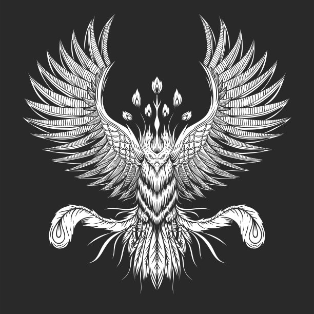凤凰鸟矢量图素材图片
