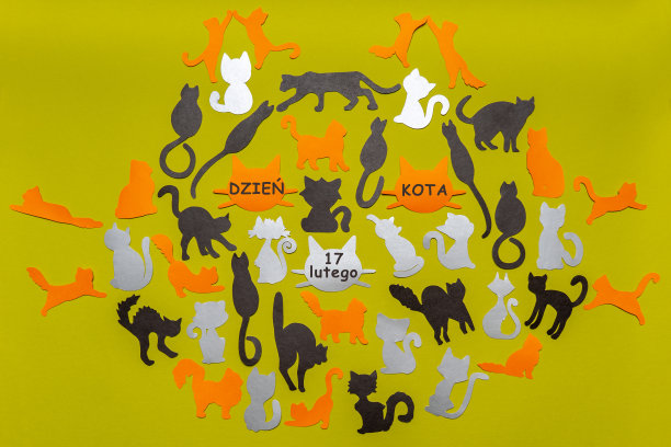 波兰猫咪节快乐。猫嘴由黑色，橙色，灰色滑稽的脸和浅绿色的背景剪影组成。节日布局的猫节日，文字在波兰2月17日猫日。平躺图片下载