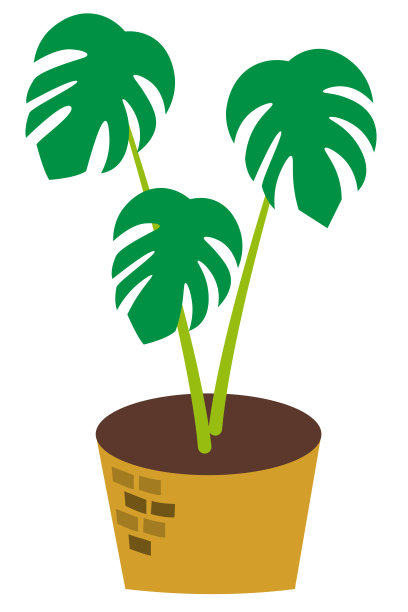 插图的室内植物图片下载