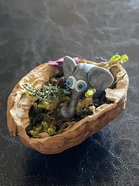 简而言之图片下载