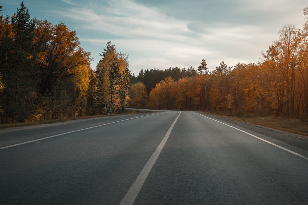 国家的道路。森林。秋天的季节。图片下载