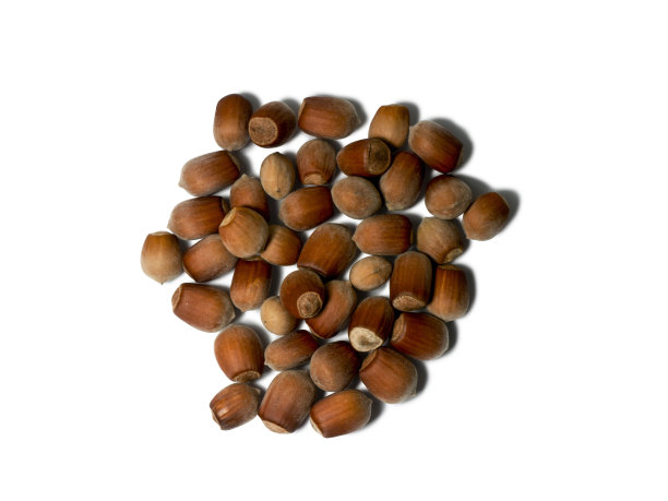 一些榛子孤立在白色背景上。从上面的观点图片下载