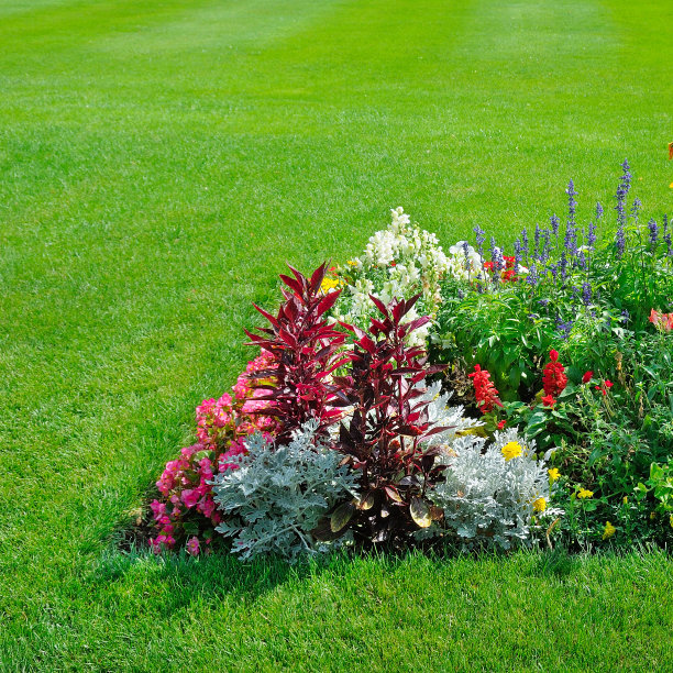城市花园中的绿色草地和花坛。图片下载
